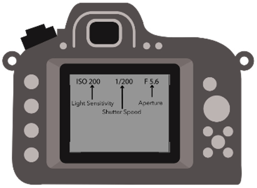 Image of optimal DSLR camera settings for great photos