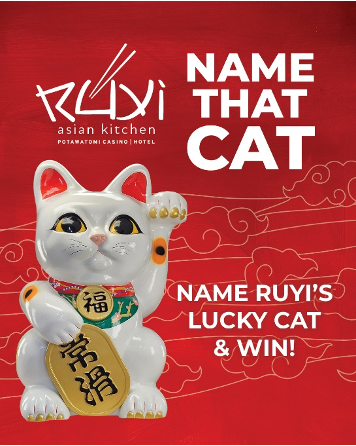 RuYi's 'Name That Cat' social media promotion poster